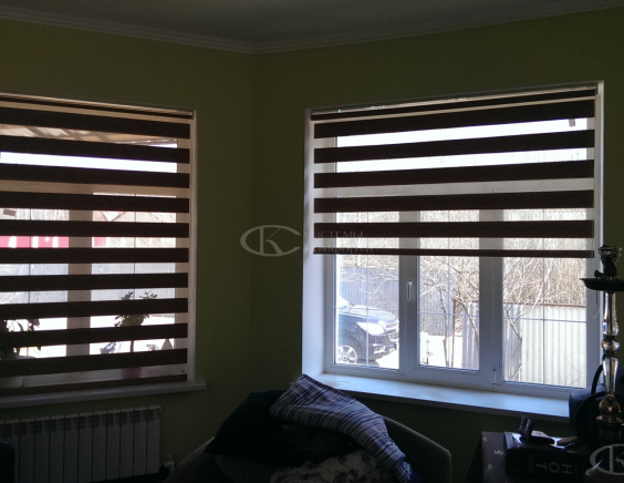 Портфолио шторы День-Ночь Мини