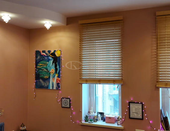 Горизонтальные жалюзи на пластиковые окна