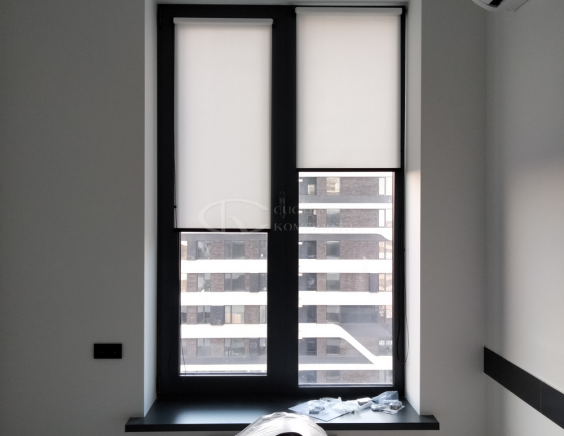 Порфолио Рулонные шторы Мини