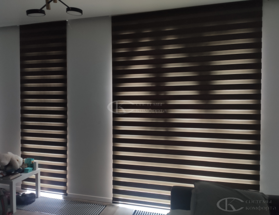 Портфолио шторы День-Ночь Мини